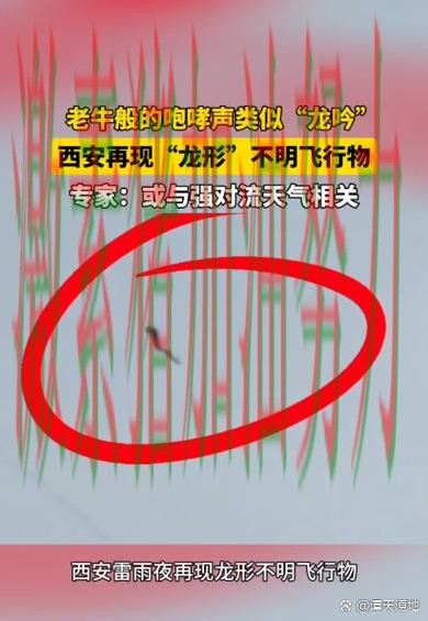 猛龙赛后发声走势反转